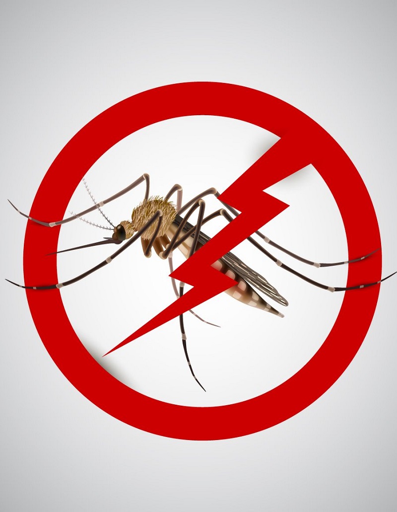 Kiểm soát các ổ chứa tự nhiên, diệt trừ các vector gây bệnh như muỗi và bọ gậy,…